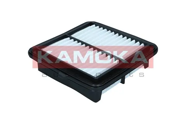 Air Filter F256601