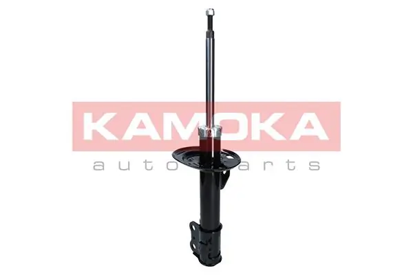 Shock Absorber 2000256