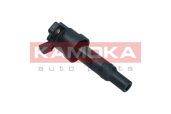 Ignition Coil 7120110