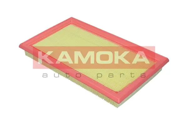 Air Filter F250001