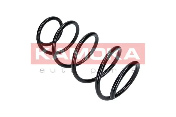 Suspension Spring 2110117