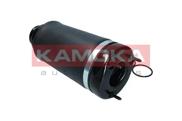 Air Spring, suspension 2079044