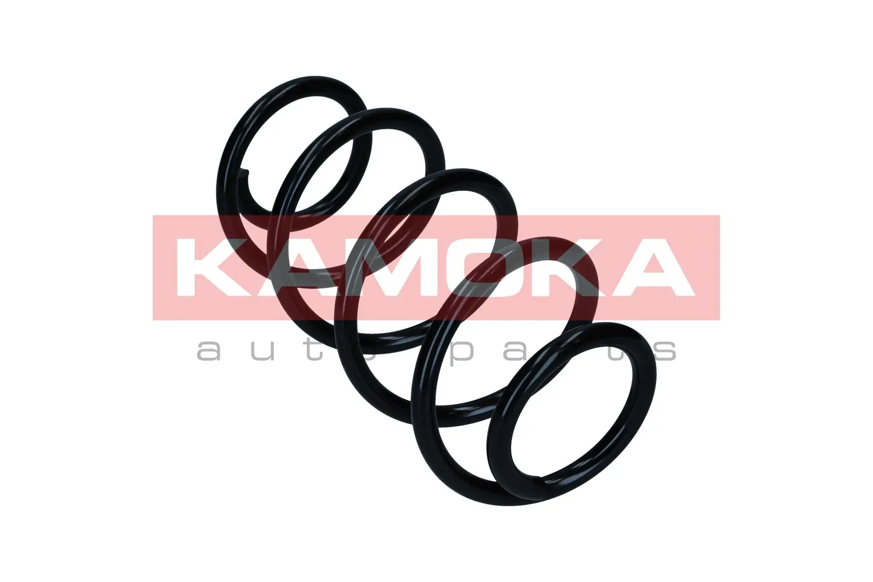 Suspension Spring 2120034