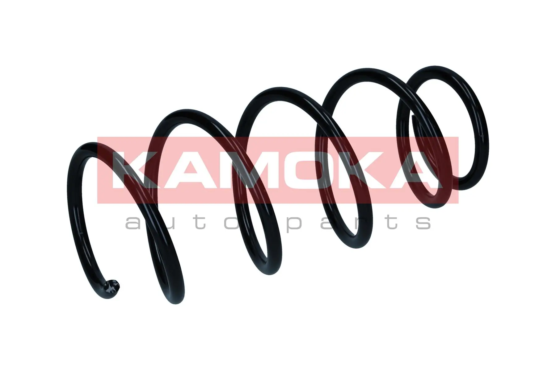 Suspension Spring 2120163