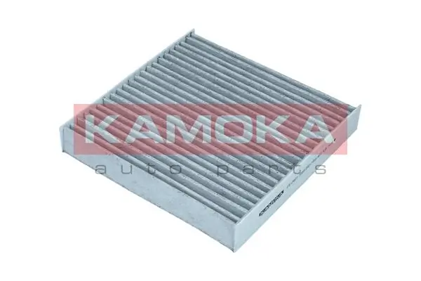 Filter, cabin air F517601