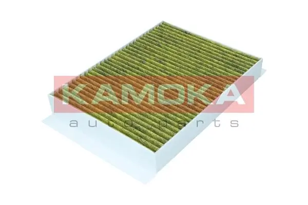 Filter, cabin air 6080154