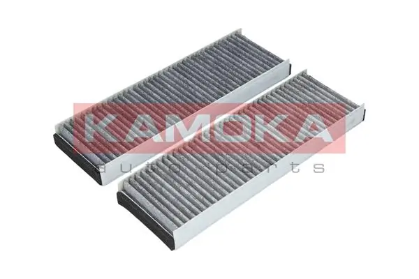 Filter, cabin air F505501