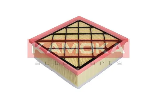 Air Filter F222201