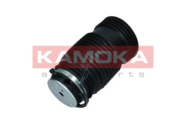 Air Spring, suspension 2079051