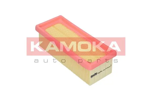 Air Filter F228701