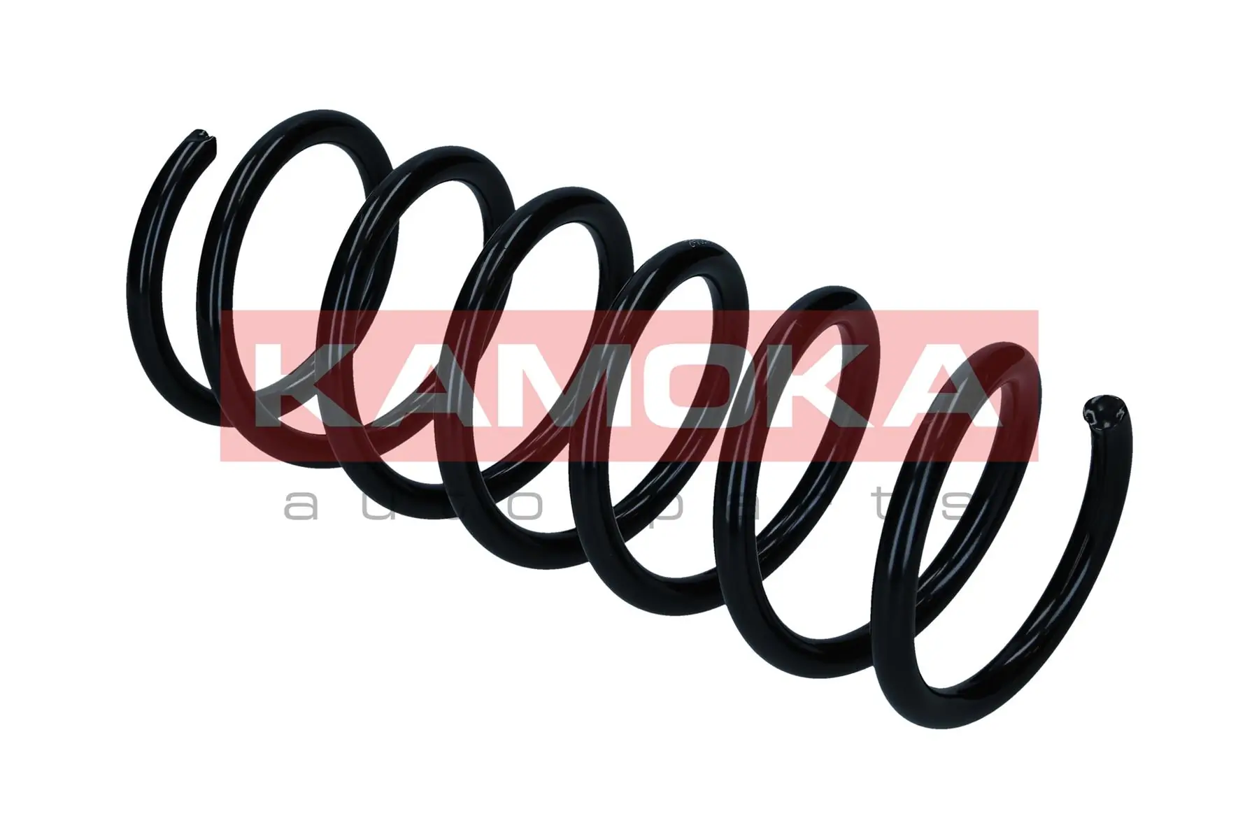 Suspension Spring 2120701