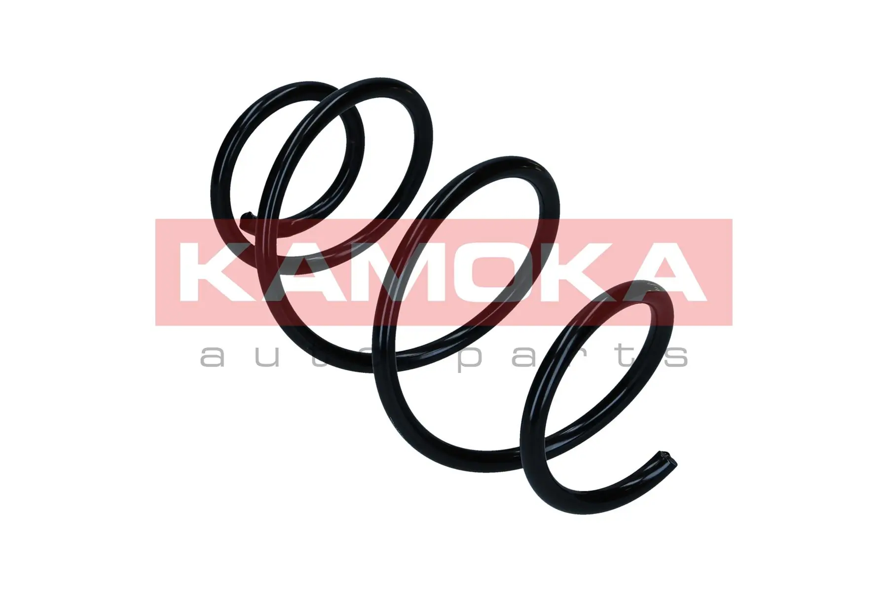 Suspension Spring 2110587