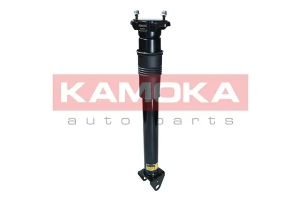 Air Suspension Strut 2070014