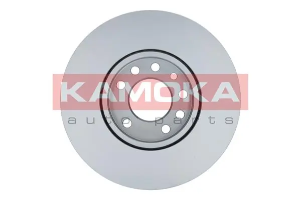 Brake Disc 1031620