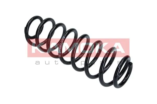 Suspension Spring 2120208