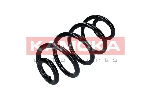 Suspension Spring 2120304