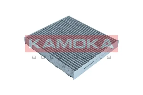 Filter, cabin air F522701