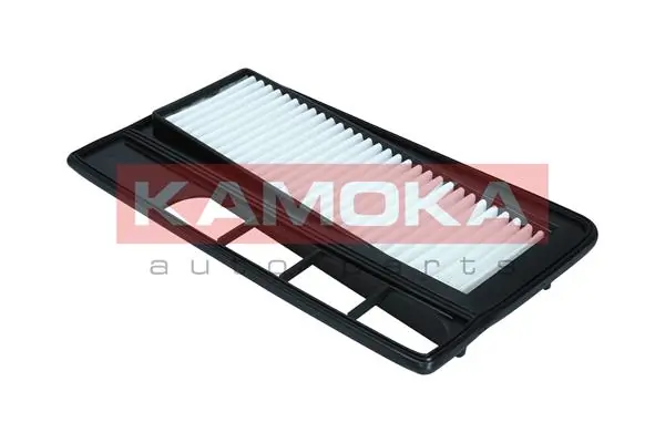 Air Filter F253701