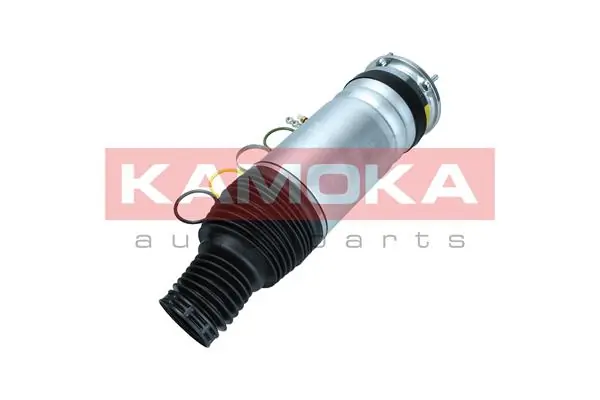 Air Spring, suspension 2079034