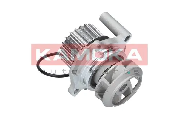 Water Pump, engine cooling T0048