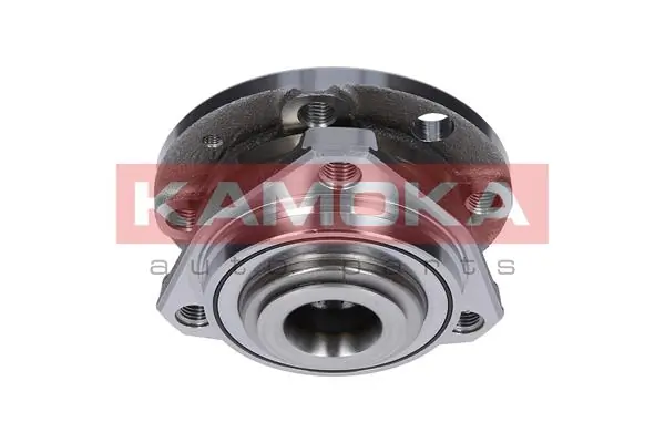 Wheel Bearing Kit 5500062