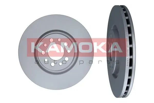 Brake Disc 1031057