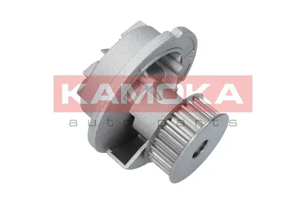 Water Pump, engine cooling T0231