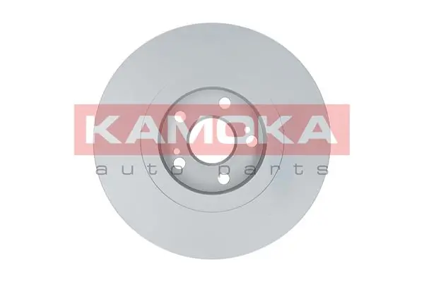 Brake Disc 1031018