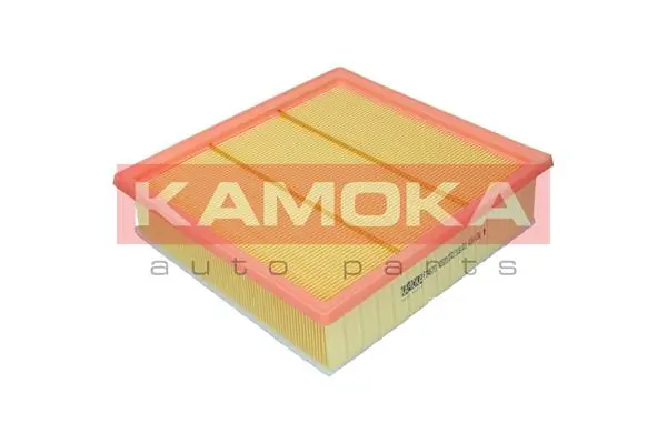 Air Filter F246701