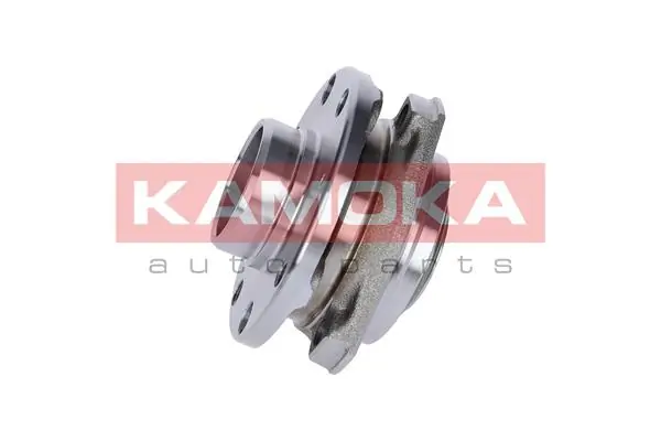 Wheel Bearing Kit 5500062
