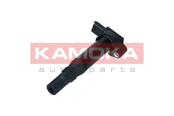 Ignition Coil 7120019