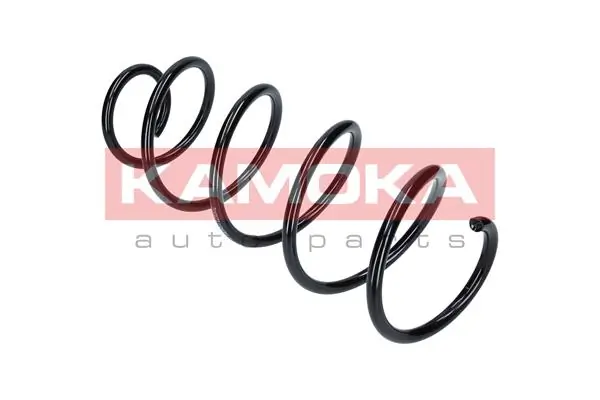 Suspension Spring 2110173