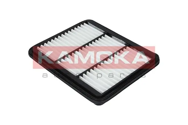 Air Filter F224901