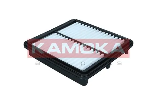 Air Filter F257001