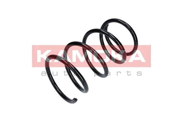 Suspension Spring 2110331