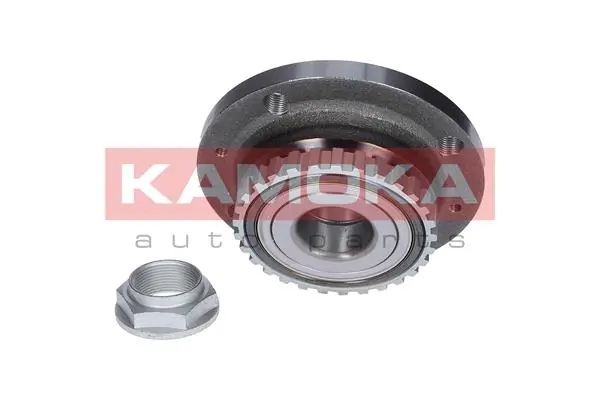 Wheel Bearing Kit 5500127