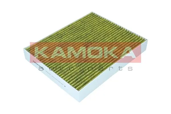 Filter, cabin air 6080104