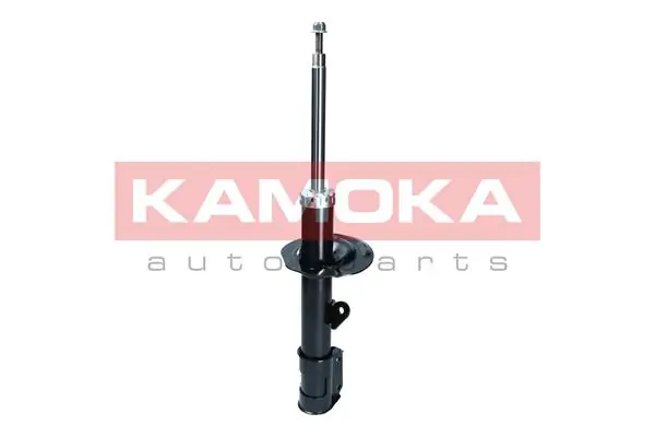 Shock Absorber 2000575