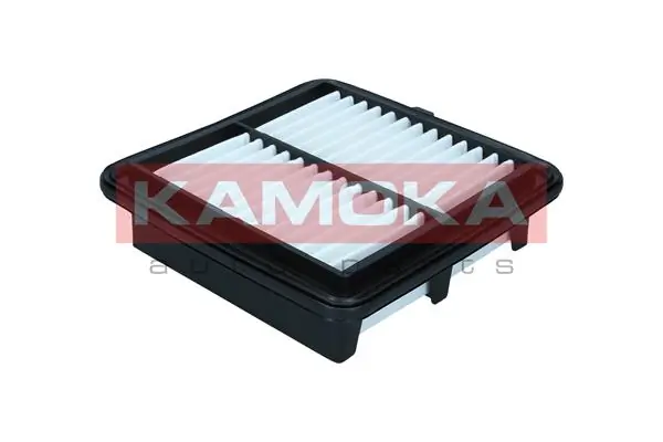 Air Filter F256601