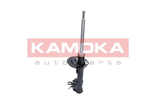 Shock Absorber 2000206