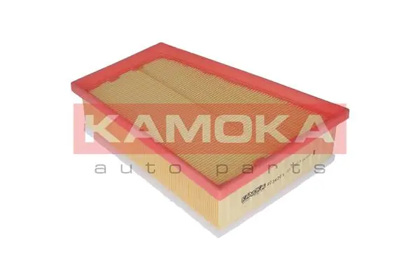 Air Filter F234201