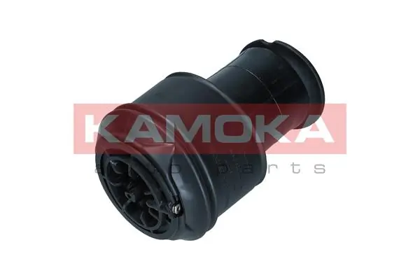 Air Spring, suspension 2079024