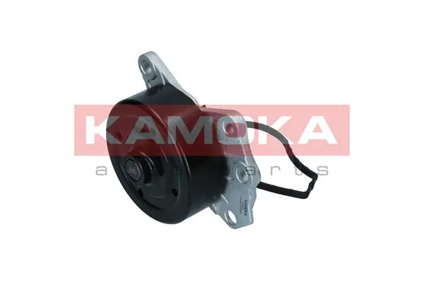 Water Pump, engine cooling T0069