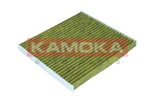 Filter, cabin air 6080069
