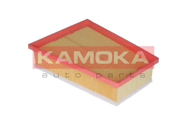 Air Filter F234201