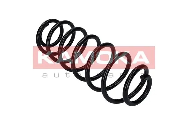 Suspension Spring 2120161