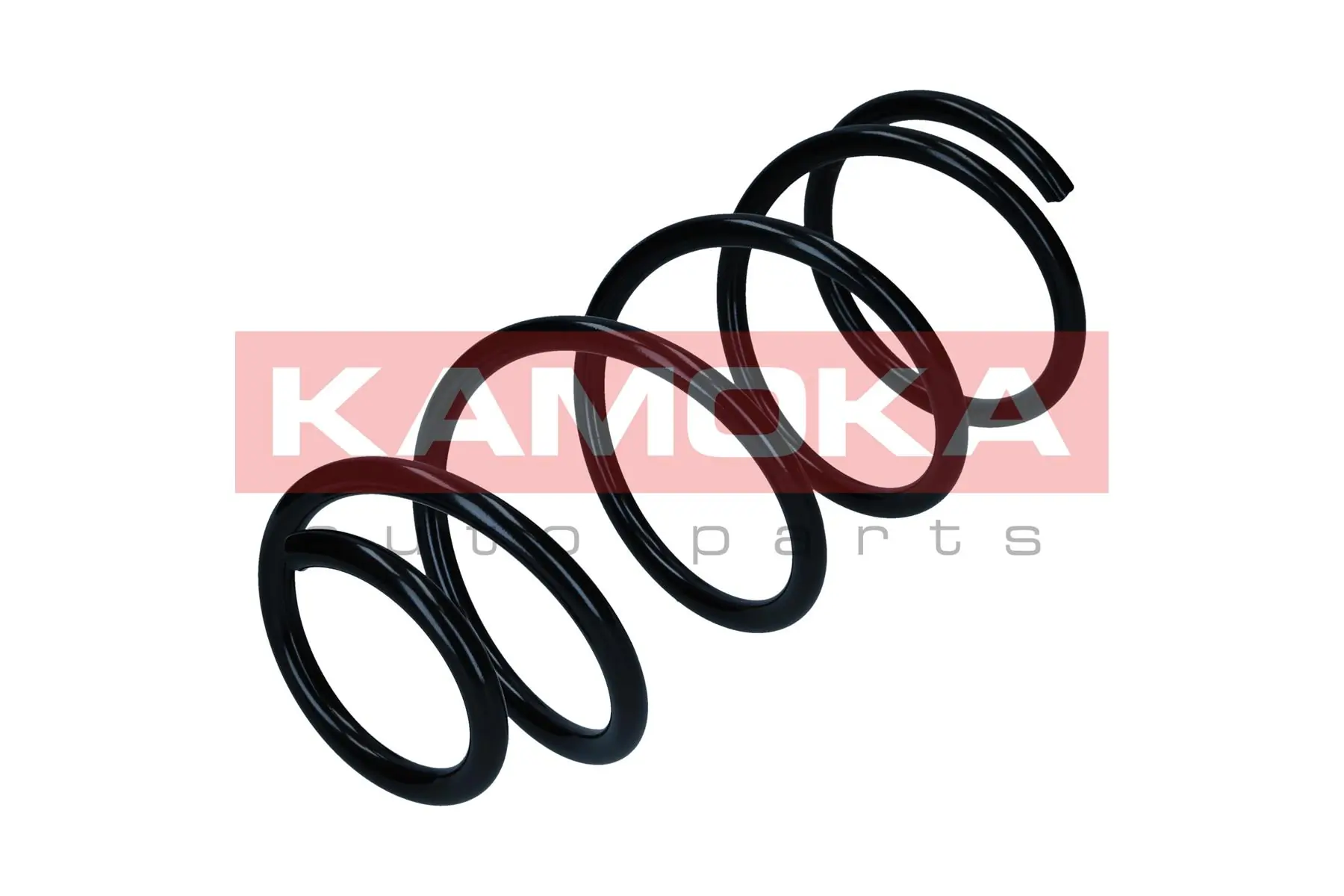 Suspension Spring 2110504