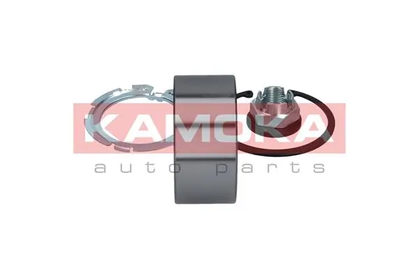 Wheel Bearing Kit 5600049