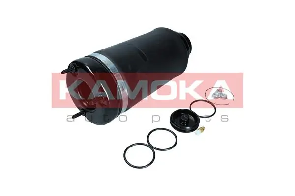 Air Spring, suspension 2079044