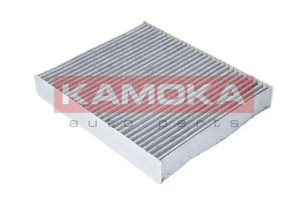 Filter, cabin air F507401
